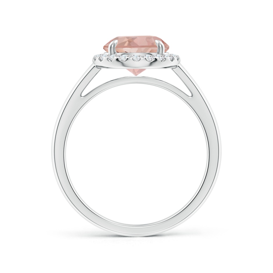 8mm AAAA Round Morganite Cathedral Ring with Diamond Halo in White Gold side-1