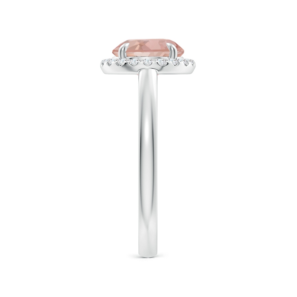 8mm AAAA Round Morganite Cathedral Ring with Diamond Halo in White Gold Side-2