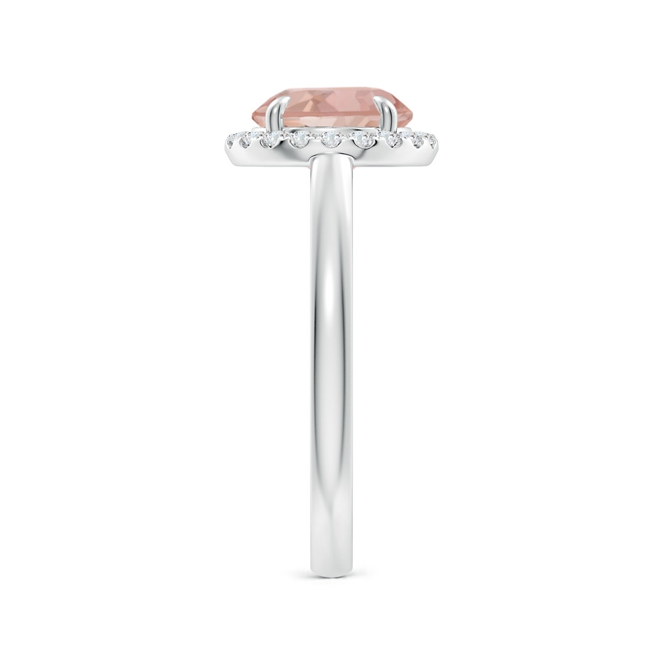 8mm AAAA Round Morganite Cathedral Ring with Diamond Halo in White Gold side-2