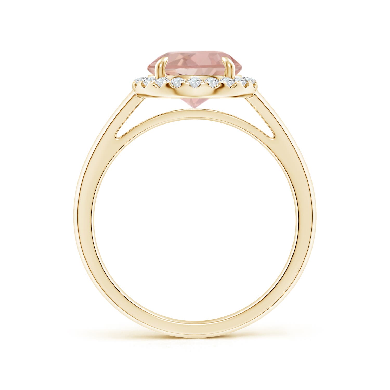 AAAA - Morganite / 1.81 CT / 14 KT Yellow Gold