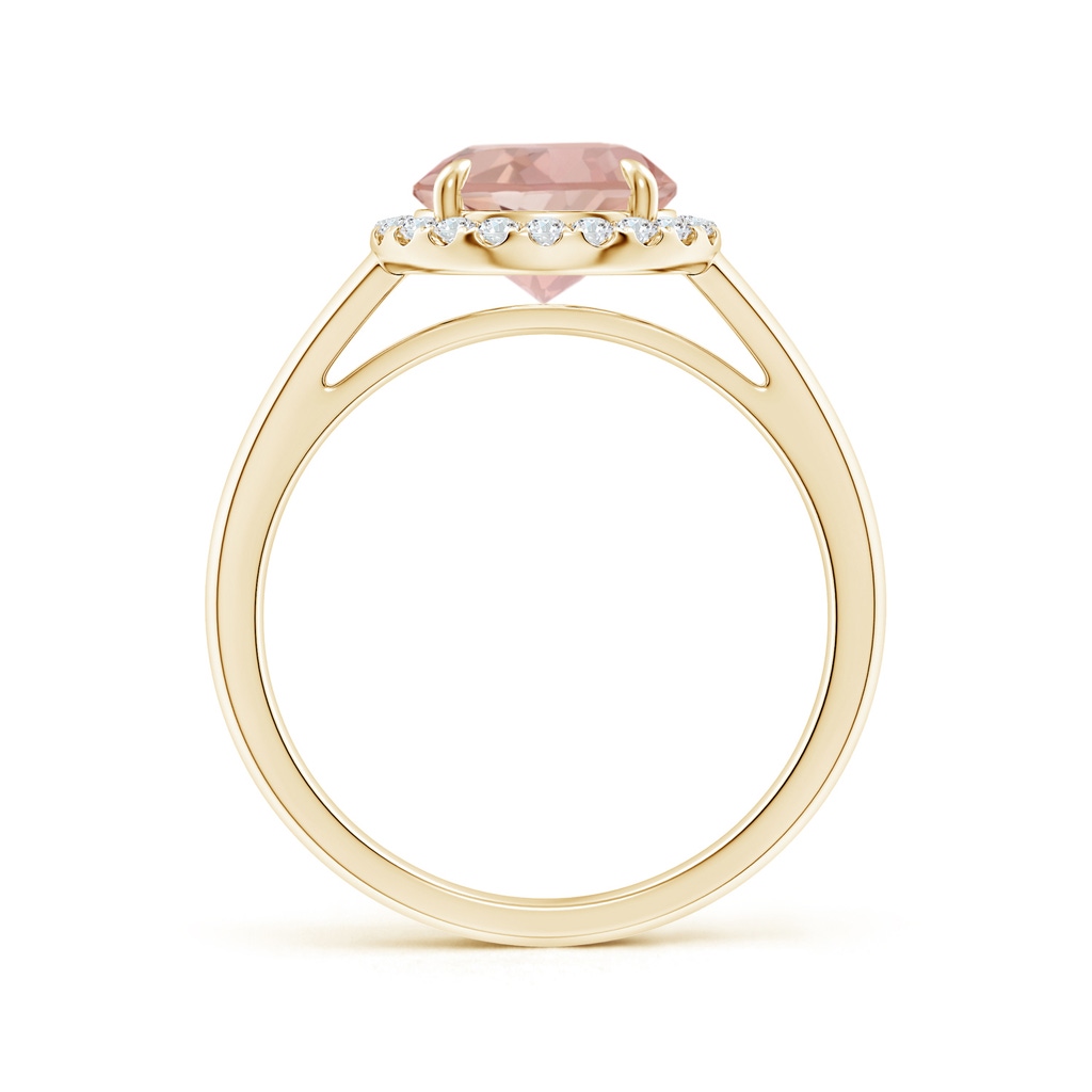 8mm AAAA Round Morganite Cathedral Ring with Diamond Halo in Yellow Gold Side-1