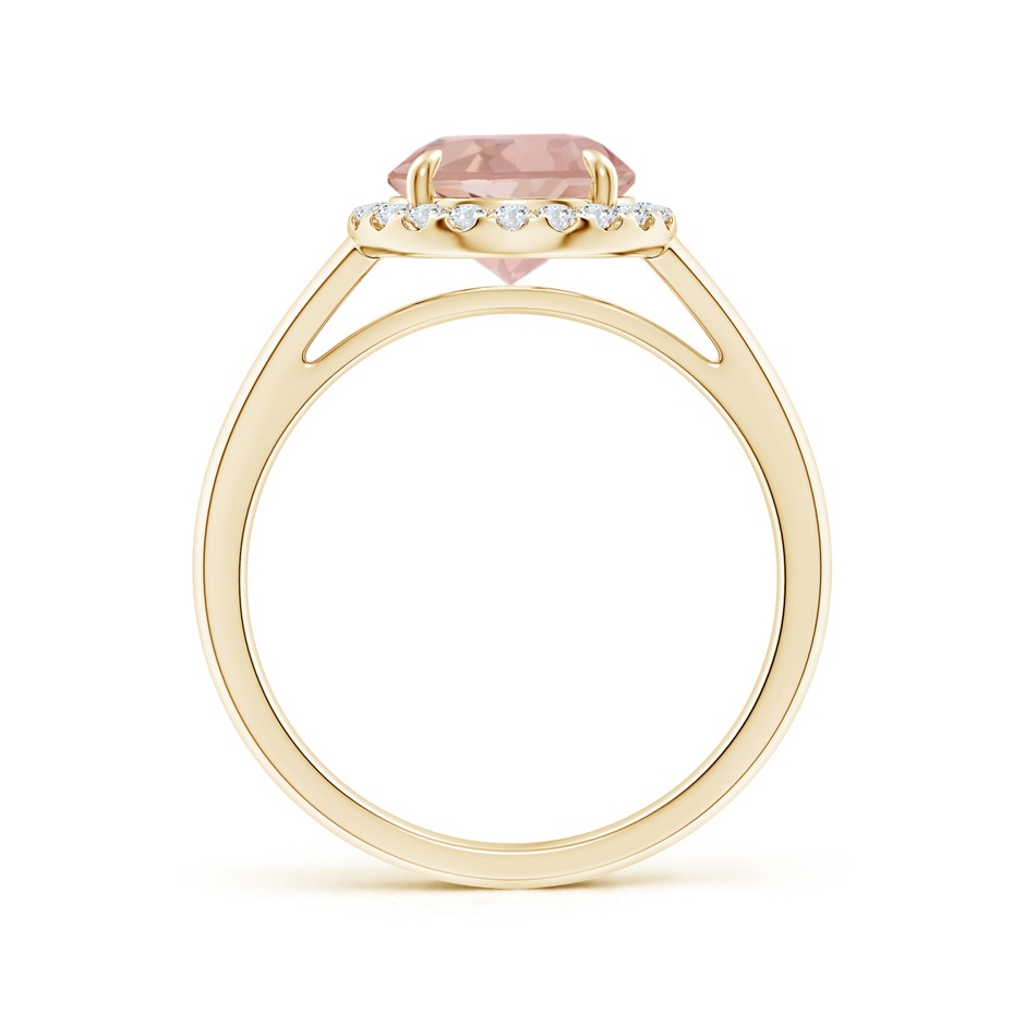 8mm AAAA Round Morganite Cathedral Ring with Diamond Halo in Yellow Gold side-1