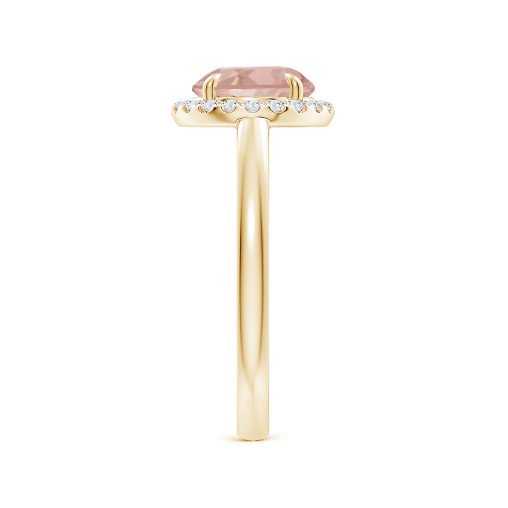 8mm AAAA Round Morganite Cathedral Ring with Diamond Halo in Yellow Gold Side-2