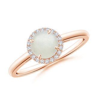 6mm AA Round Moonstone Cathedral Ring with Diamond Halo in 10K Rose Gold