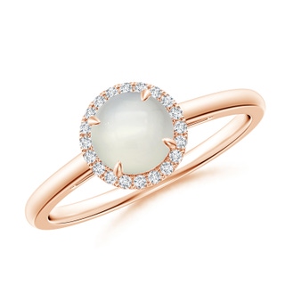6mm AAA Round Moonstone Cathedral Ring with Diamond Halo in 10K Rose Gold
