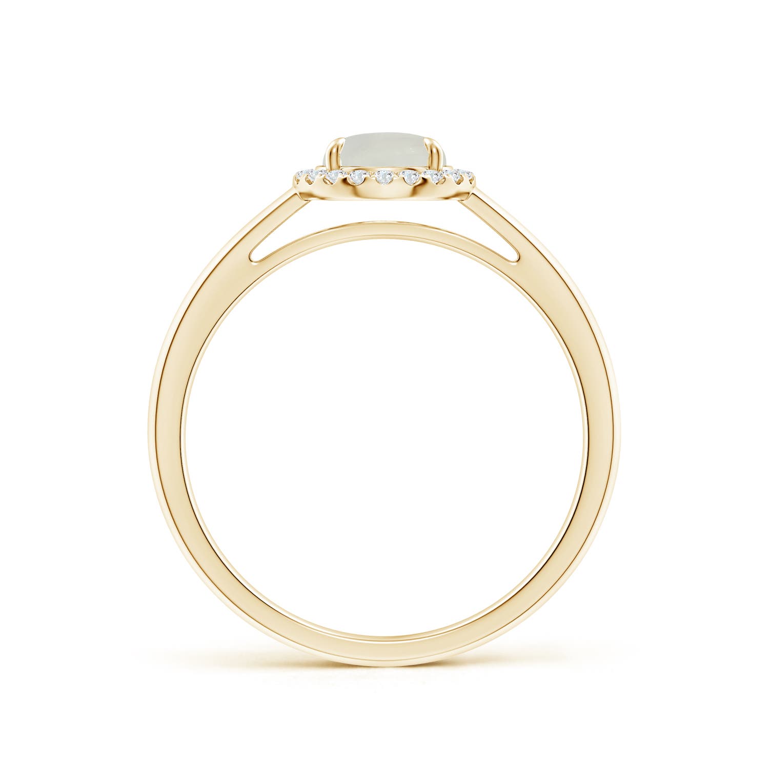 AAA - Moonstone / 0.9 CT / 14 KT Yellow Gold