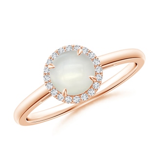 6mm AAAA Round Moonstone Cathedral Ring with Diamond Halo in Rose Gold