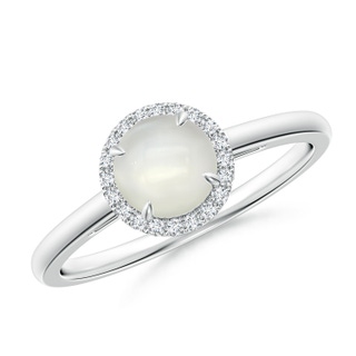 6mm AAAA Round Moonstone Cathedral Ring with Diamond Halo in White Gold