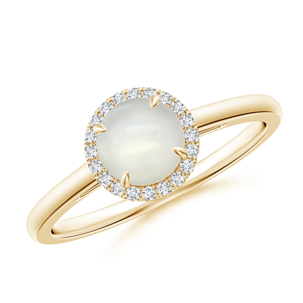 6mm AAAA Round Moonstone Cathedral Ring with Diamond Halo in Yellow Gold