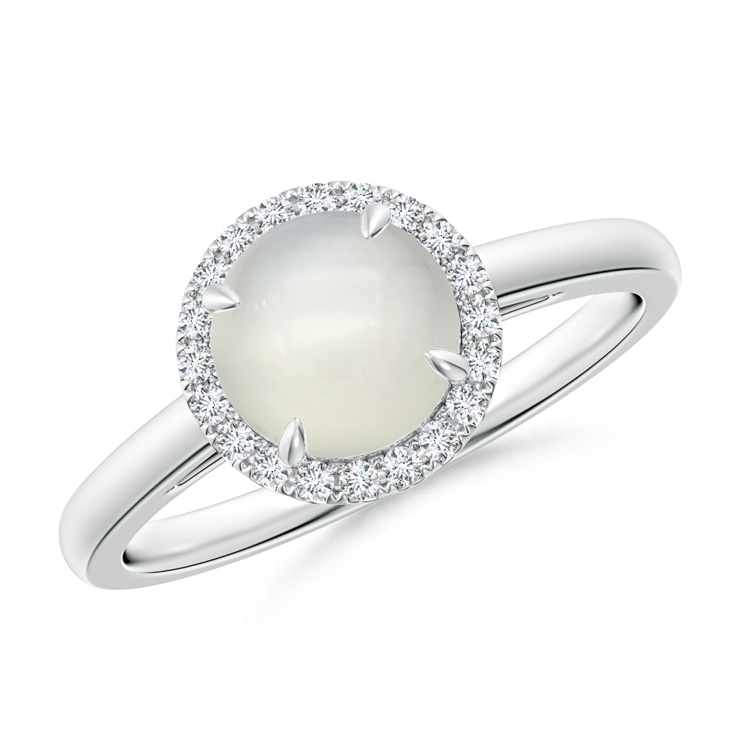 7mm AAA Round Moonstone Cathedral Ring with Diamond Halo in White Gold