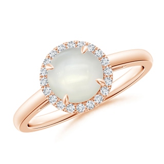 7mm AAAA Round Moonstone Cathedral Ring with Diamond Halo in Rose Gold