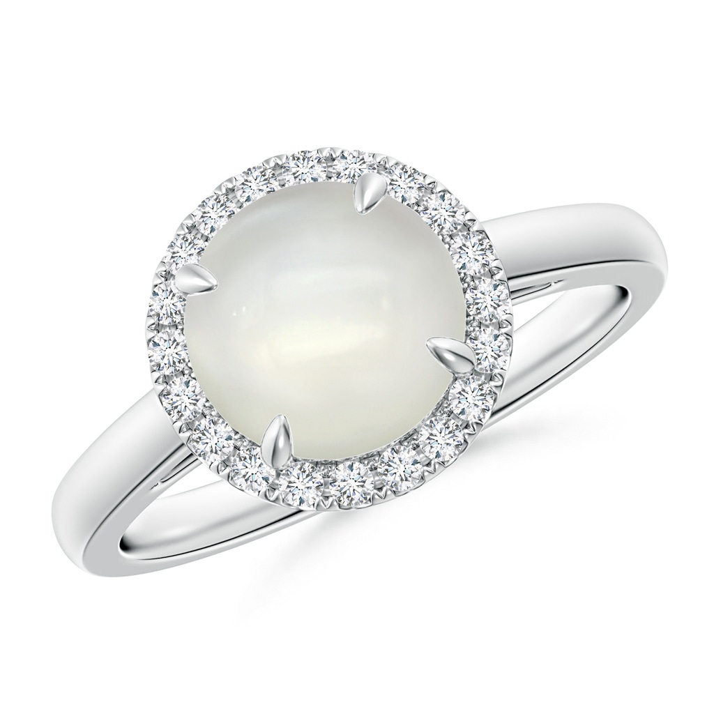 8mm AAAA Round Moonstone Cathedral Ring with Diamond Halo in White Gold