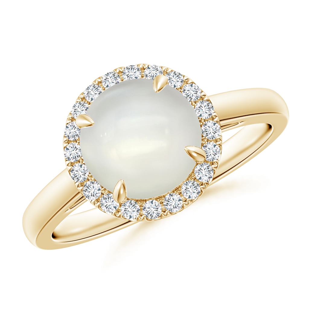 8mm AAAA Round Moonstone Cathedral Ring with Diamond Halo in Yellow Gold