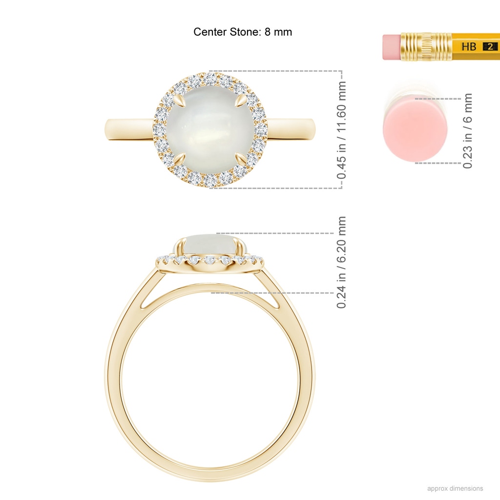 8mm AAAA Round Moonstone Cathedral Ring with Diamond Halo in Yellow Gold Ruler