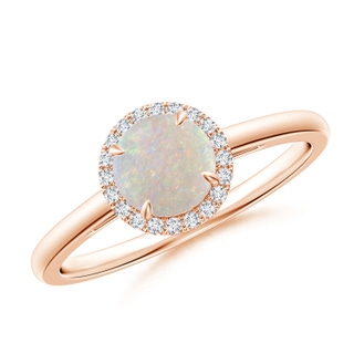 6mm AA Round Opal Cathedral Ring with Diamond Halo in Rose Gold