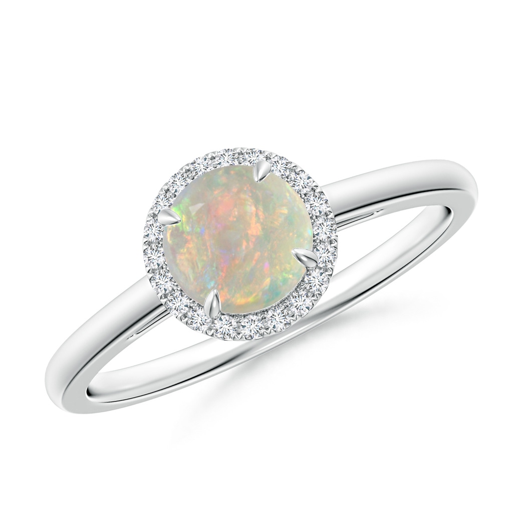 6mm AAAA Round Opal Cathedral Ring with Diamond Halo in White Gold