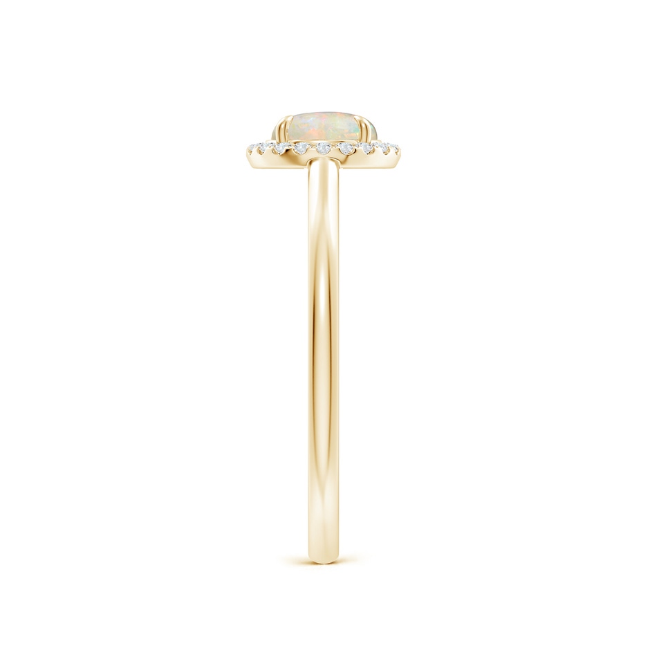 6mm AAAA Round Opal Cathedral Ring with Diamond Halo in Yellow Gold side-2