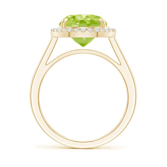 AA - Peridot / 3.62 CT / 14 KT Yellow Gold