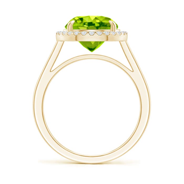 AAA - Peridot / 3.62 CT / 14 KT Yellow Gold