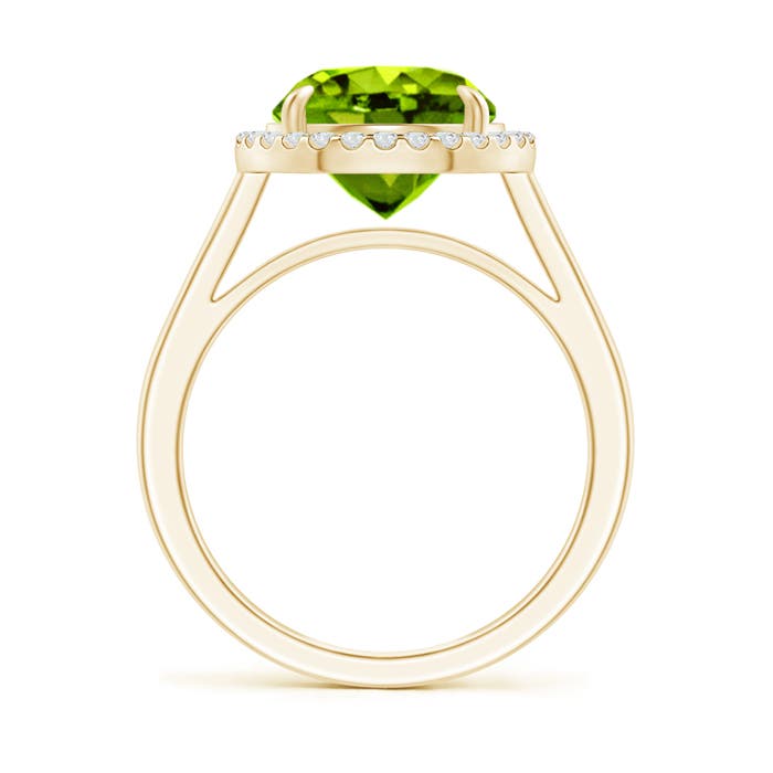 AAAA - Peridot / 3.62 CT / 14 KT Yellow Gold