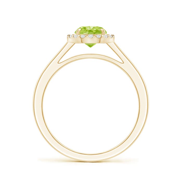 AA - Peridot / 1.05 CT / 14 KT Yellow Gold