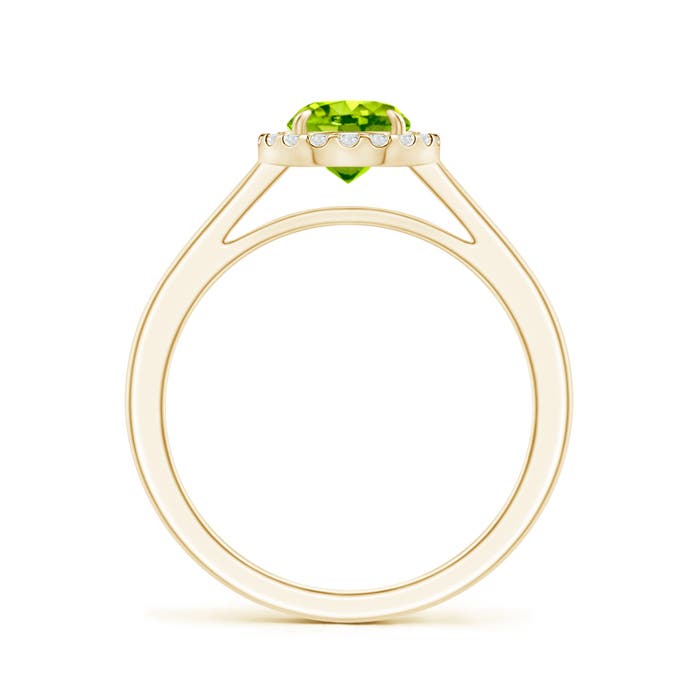 AAA - Peridot / 1.05 CT / 14 KT Yellow Gold