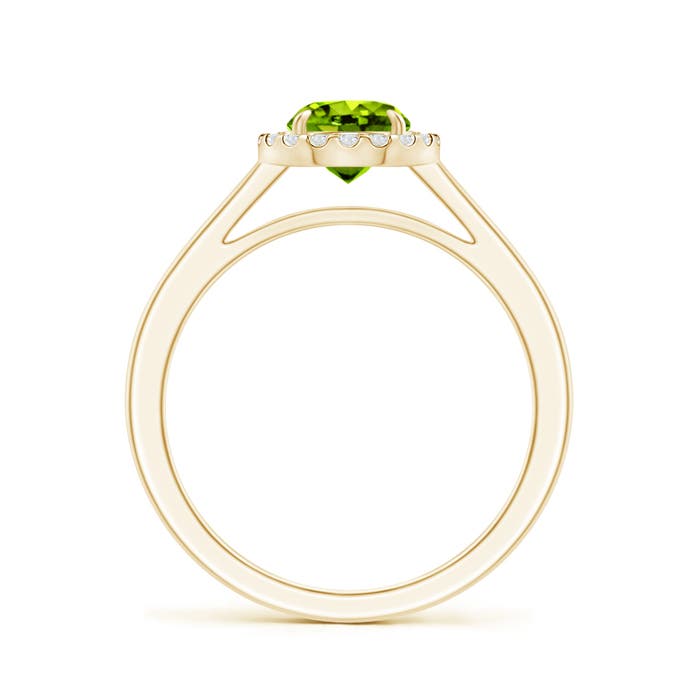 AAAA - Peridot / 1.05 CT / 14 KT Yellow Gold