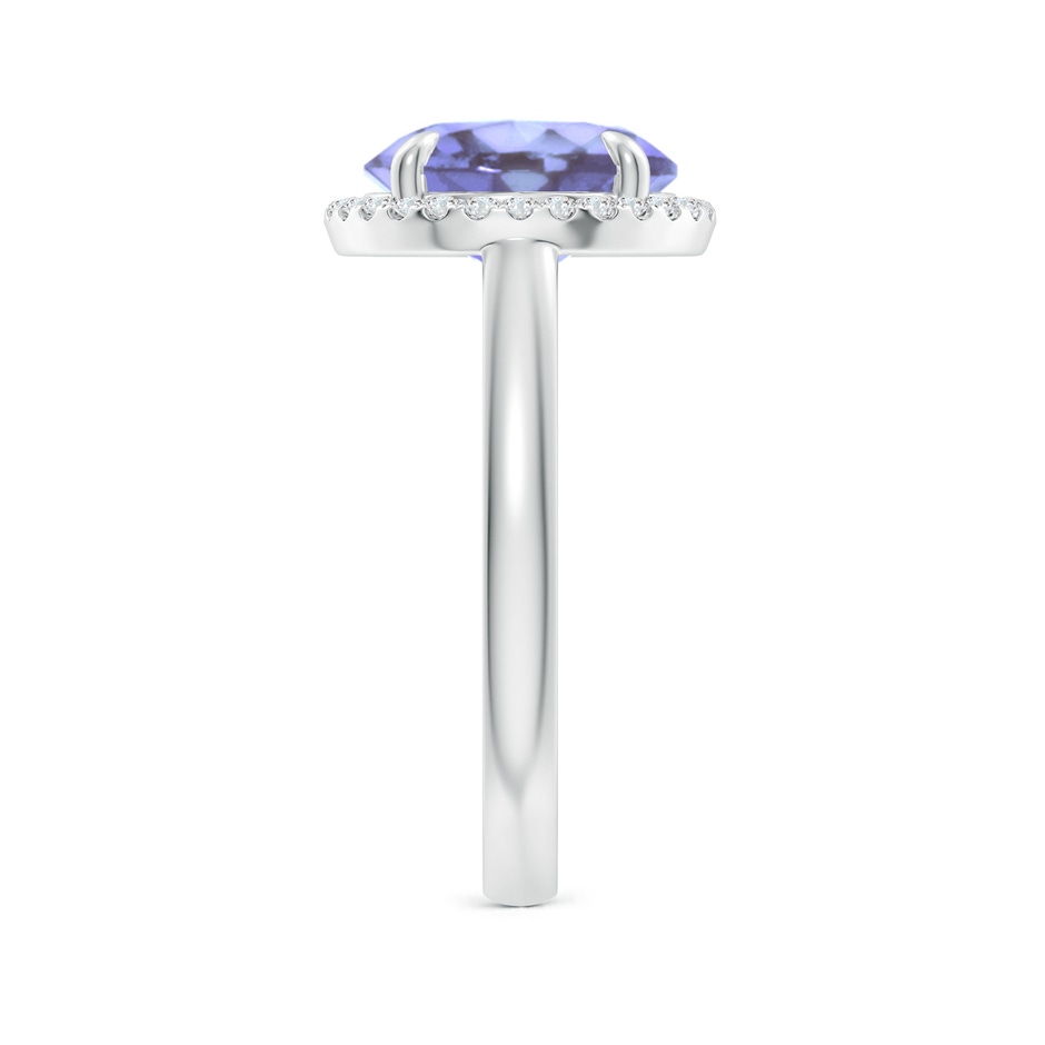 10mm A Round Tanzanite Cathedral Ring with Diamond Halo in P950 Platinum side-2