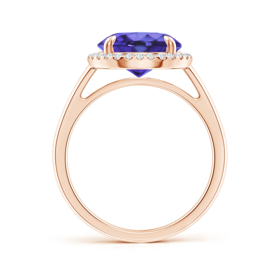 10mm AA Round Tanzanite Cathedral Ring with Diamond Halo in Rose Gold side-1