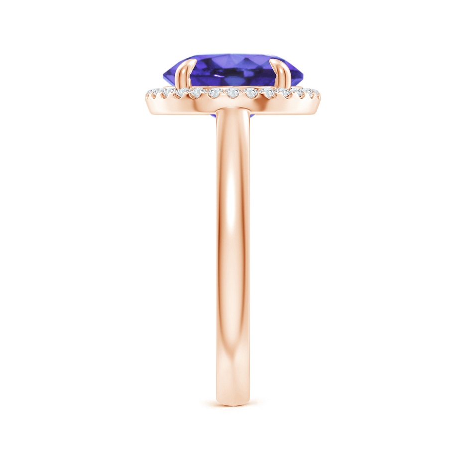 10mm AA Round Tanzanite Cathedral Ring with Diamond Halo in Rose Gold side-2