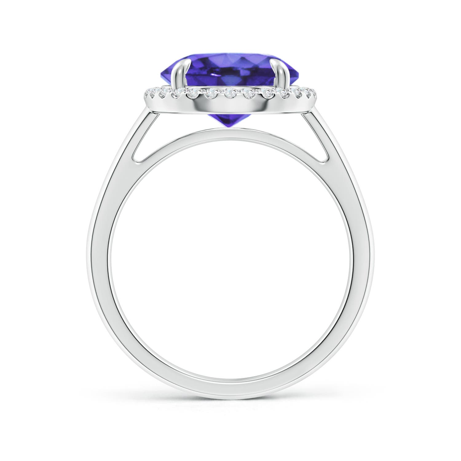 AA - Tanzanite / 3.67 CT / 14 KT White Gold