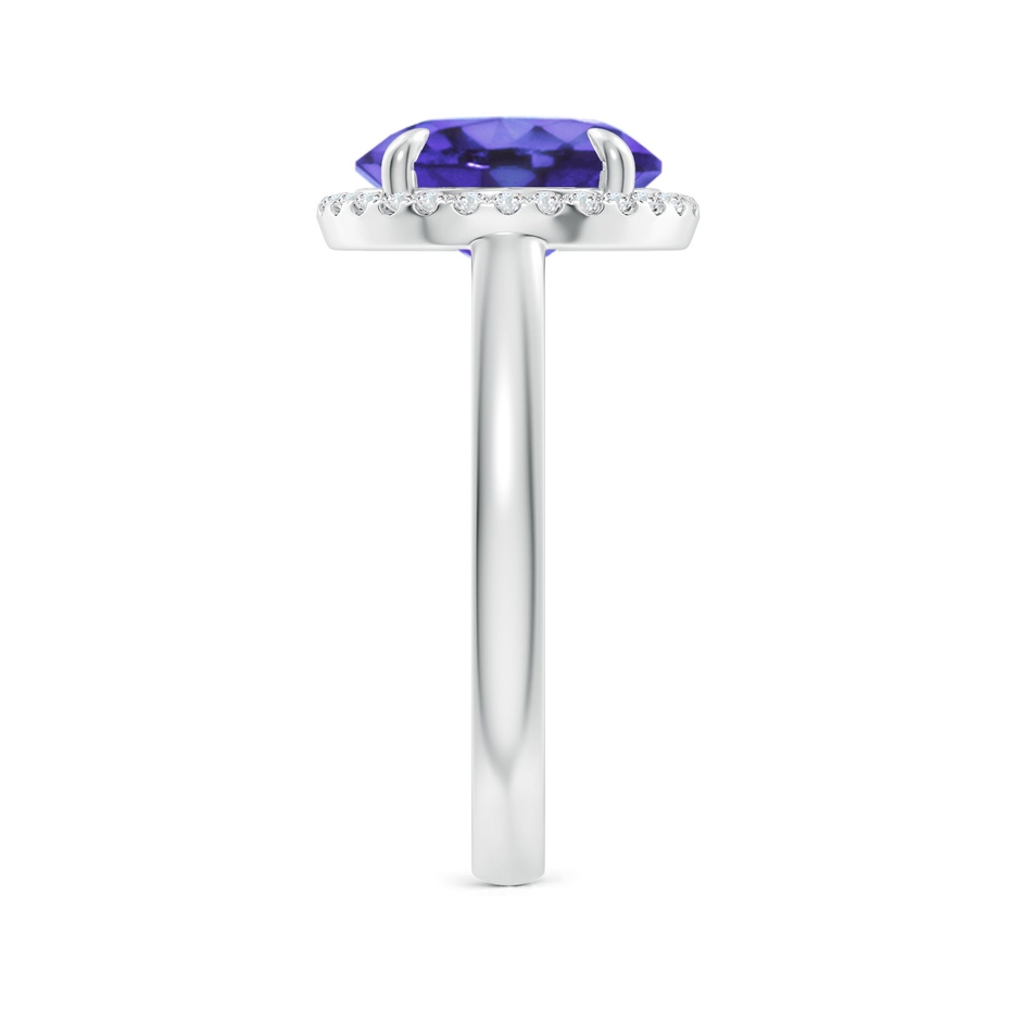 10mm AA Round Tanzanite Cathedral Ring with Diamond Halo in White Gold side-2
