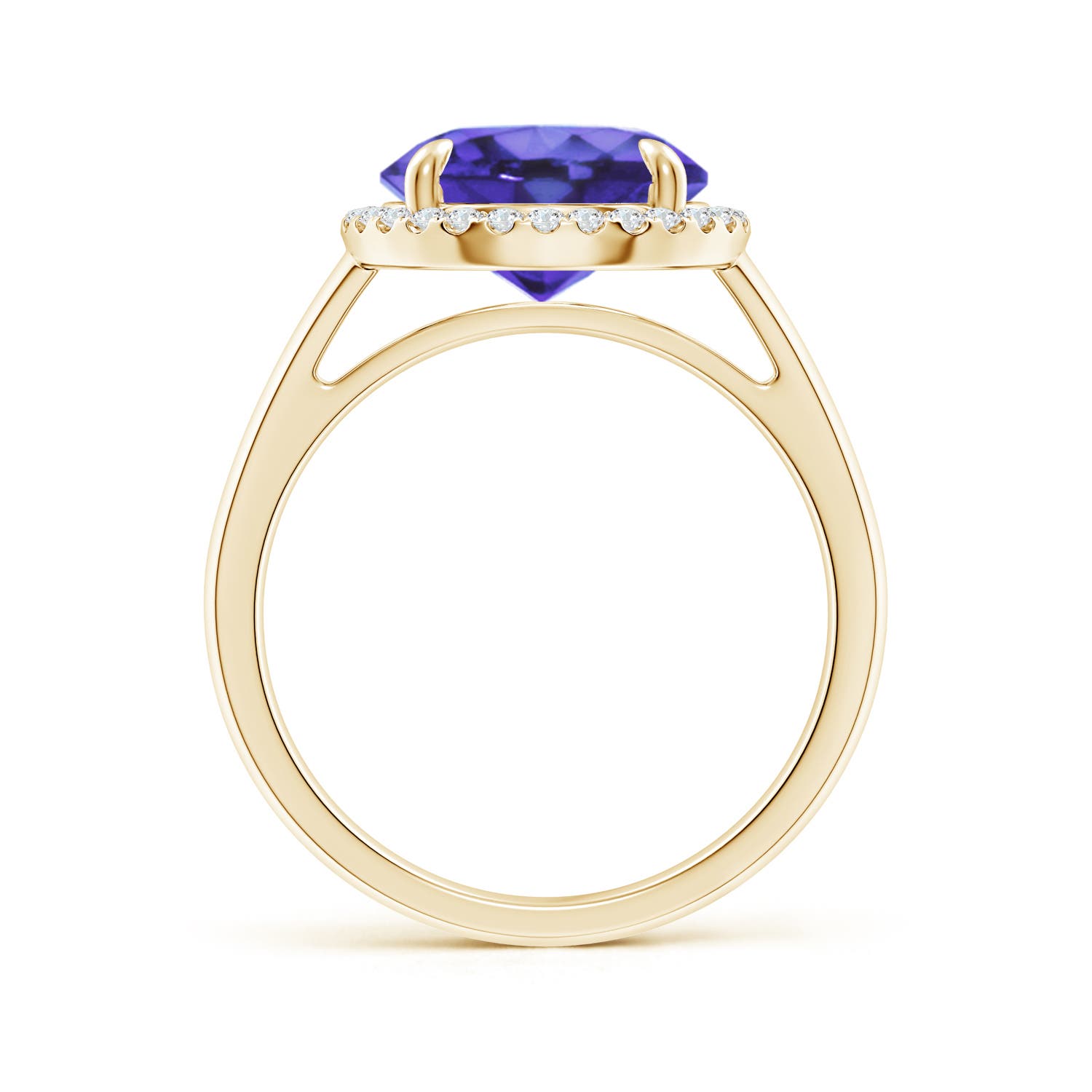 AA - Tanzanite / 3.67 CT / 14 KT Yellow Gold