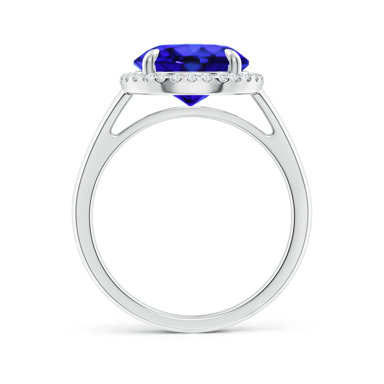 AAA - Tanzanite / 3.67 CT / 14 KT White Gold