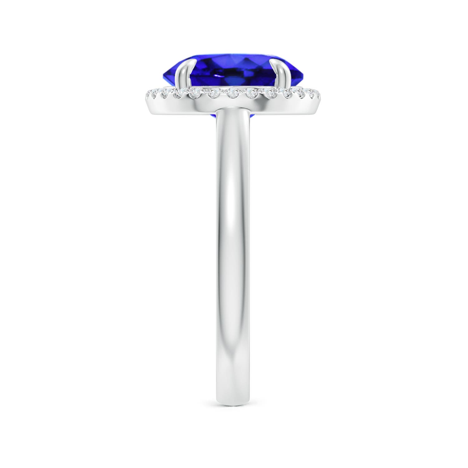 AAA - Tanzanite / 3.67 CT / 14 KT White Gold