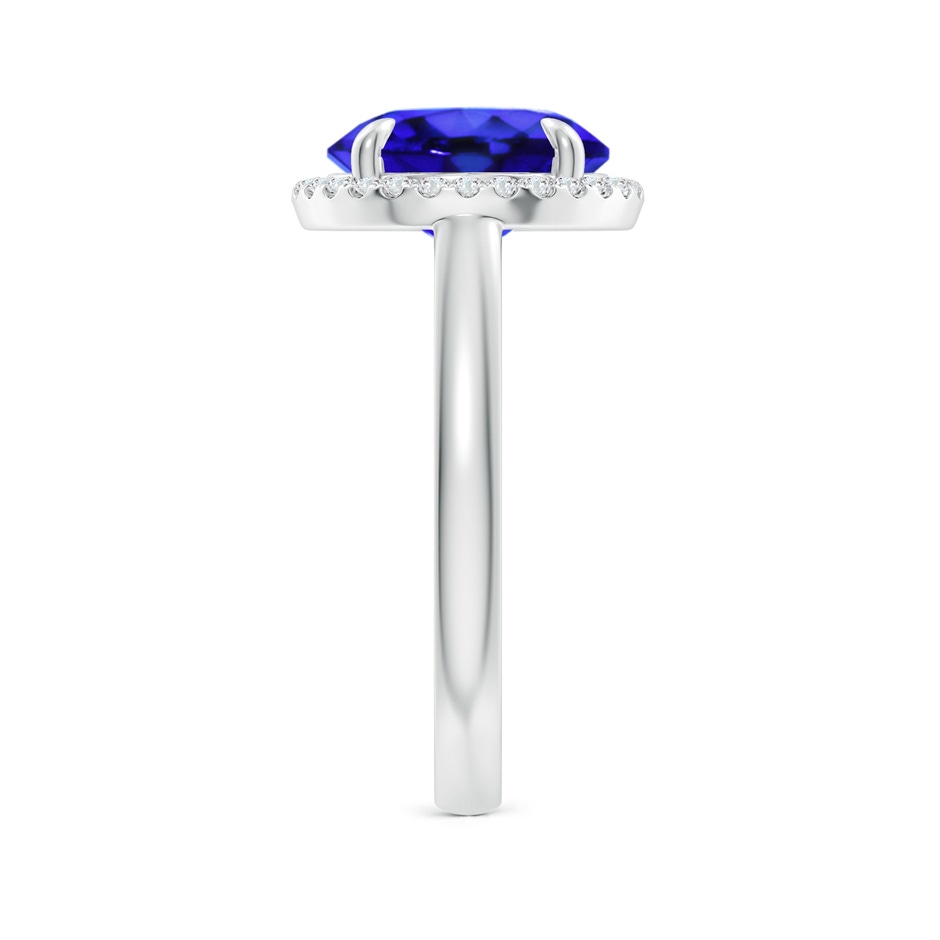 10mm AAA Round Tanzanite Cathedral Ring with Diamond Halo in White Gold side-2