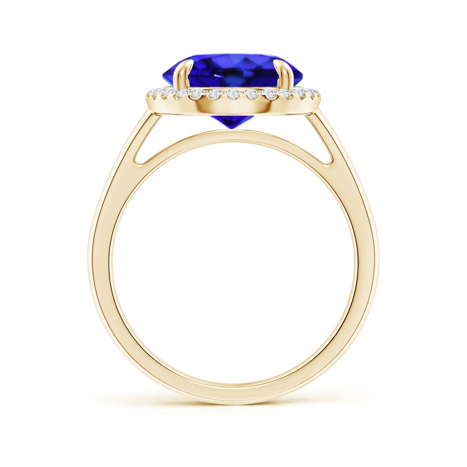 10mm AAA Round Tanzanite Cathedral Ring with Diamond Halo in Yellow Gold side-1