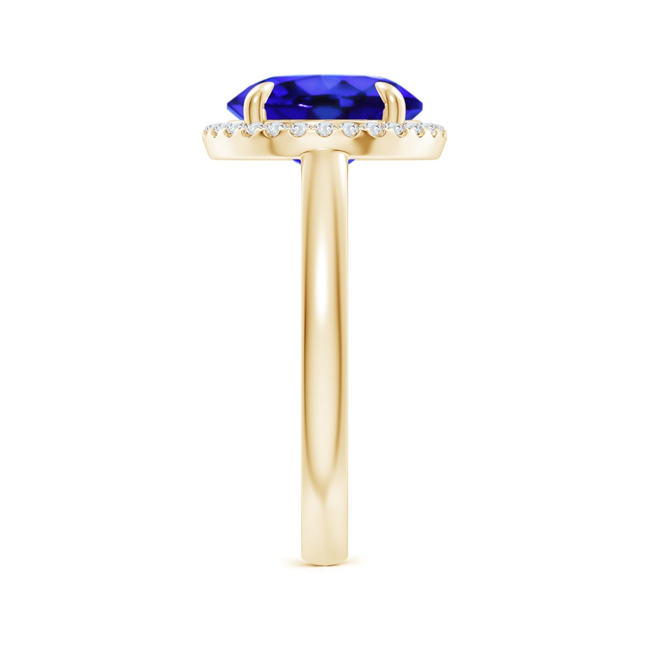 10mm AAA Round Tanzanite Cathedral Ring with Diamond Halo in Yellow Gold side-2