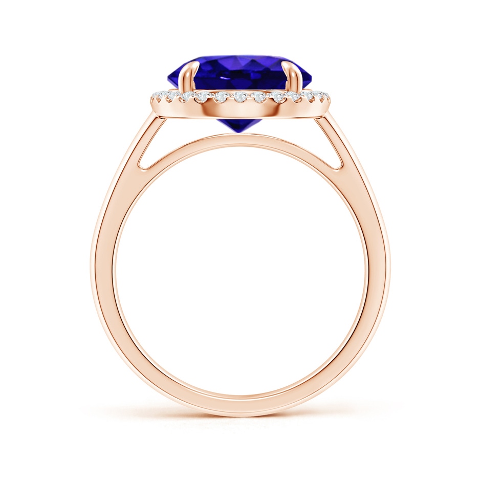 10mm AAAA Round Tanzanite Cathedral Ring with Diamond Halo in Rose Gold side-1