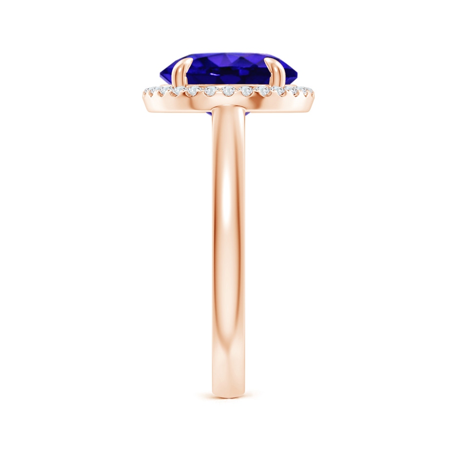 10mm AAAA Round Tanzanite Cathedral Ring with Diamond Halo in Rose Gold side-2