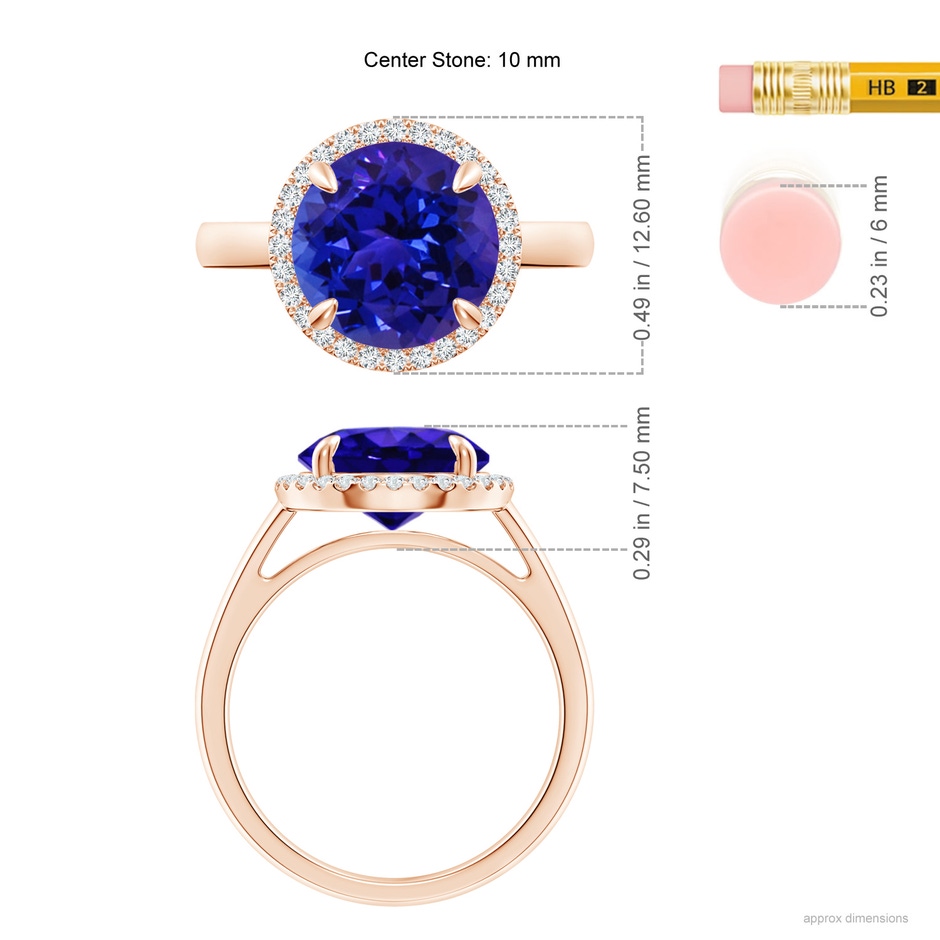 10mm AAAA Round Tanzanite Cathedral Ring with Diamond Halo in Rose Gold ruler