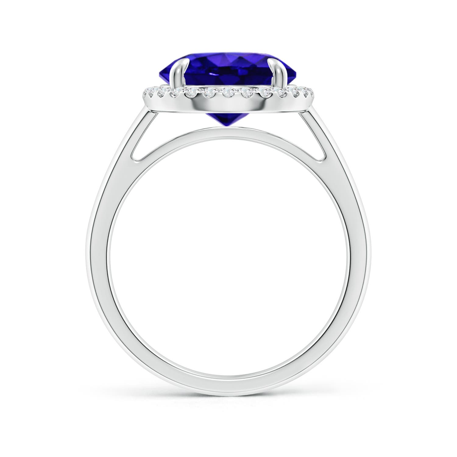 AAAA - Tanzanite / 3.67 CT / 14 KT White Gold