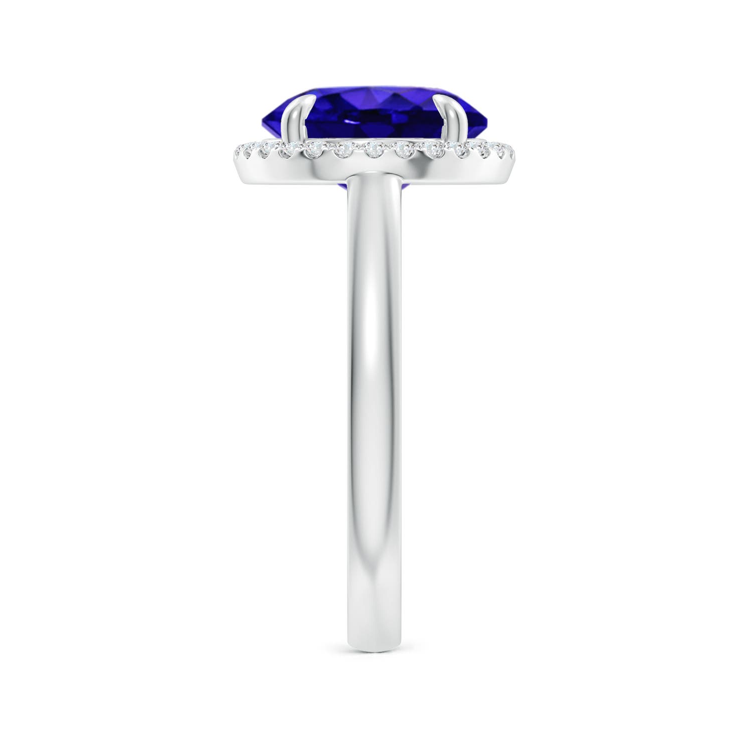 AAAA - Tanzanite / 3.67 CT / 14 KT White Gold