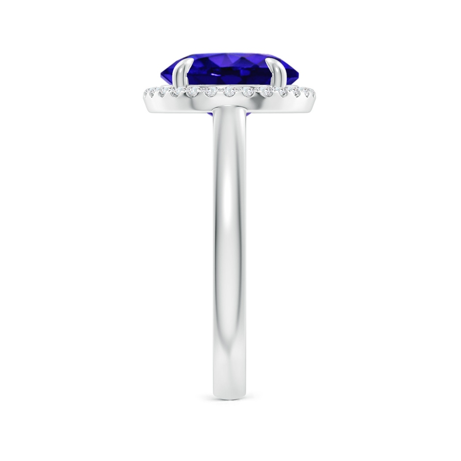 10mm AAAA Round Tanzanite Cathedral Ring with Diamond Halo in White Gold side-2