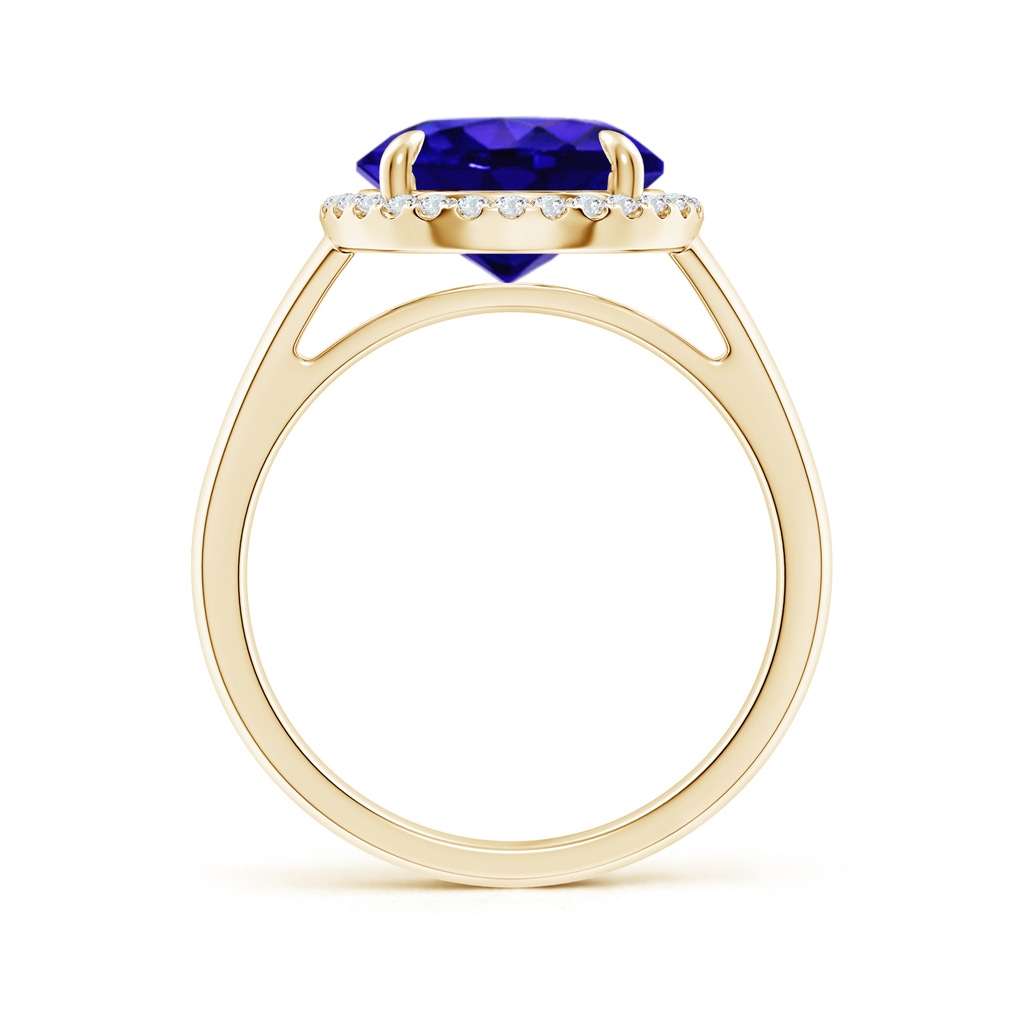 10mm AAAA Round Tanzanite Cathedral Ring with Diamond Halo in Yellow Gold Side-1