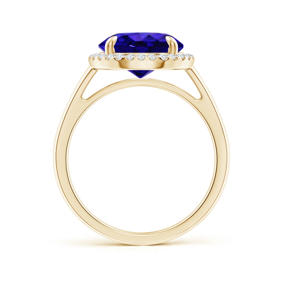 10mm AAAA Round Tanzanite Cathedral Ring with Diamond Halo in Yellow Gold side-1