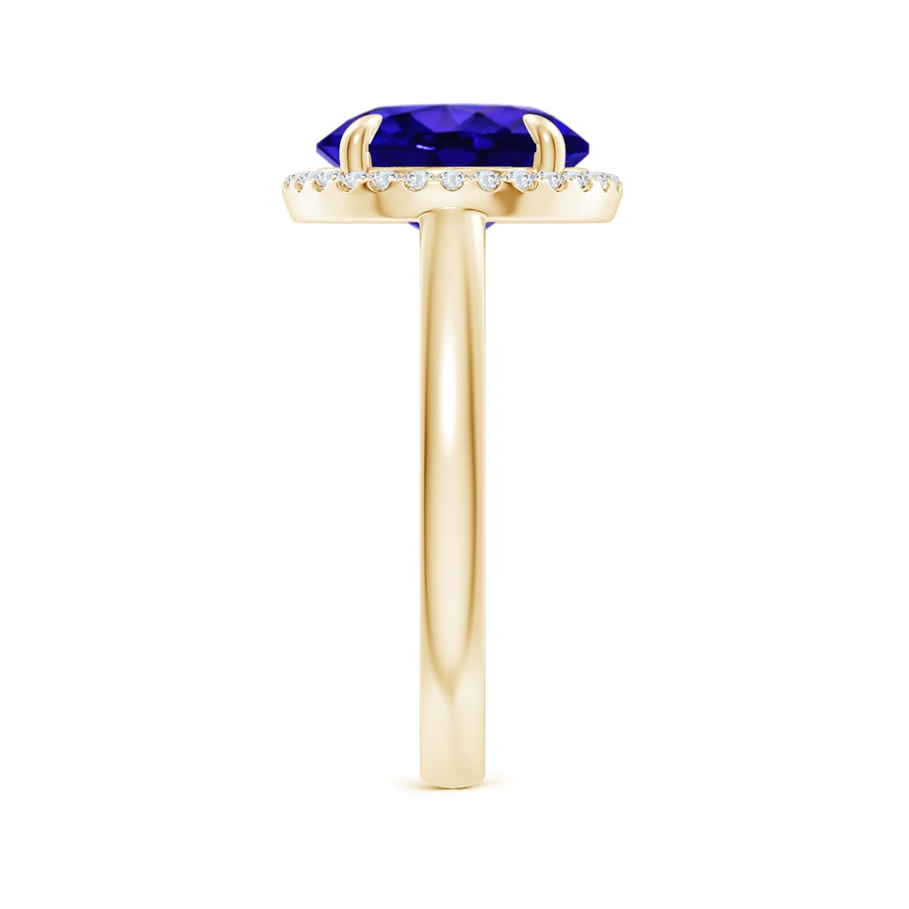 10mm AAAA Round Tanzanite Cathedral Ring with Diamond Halo in Yellow Gold Side-2