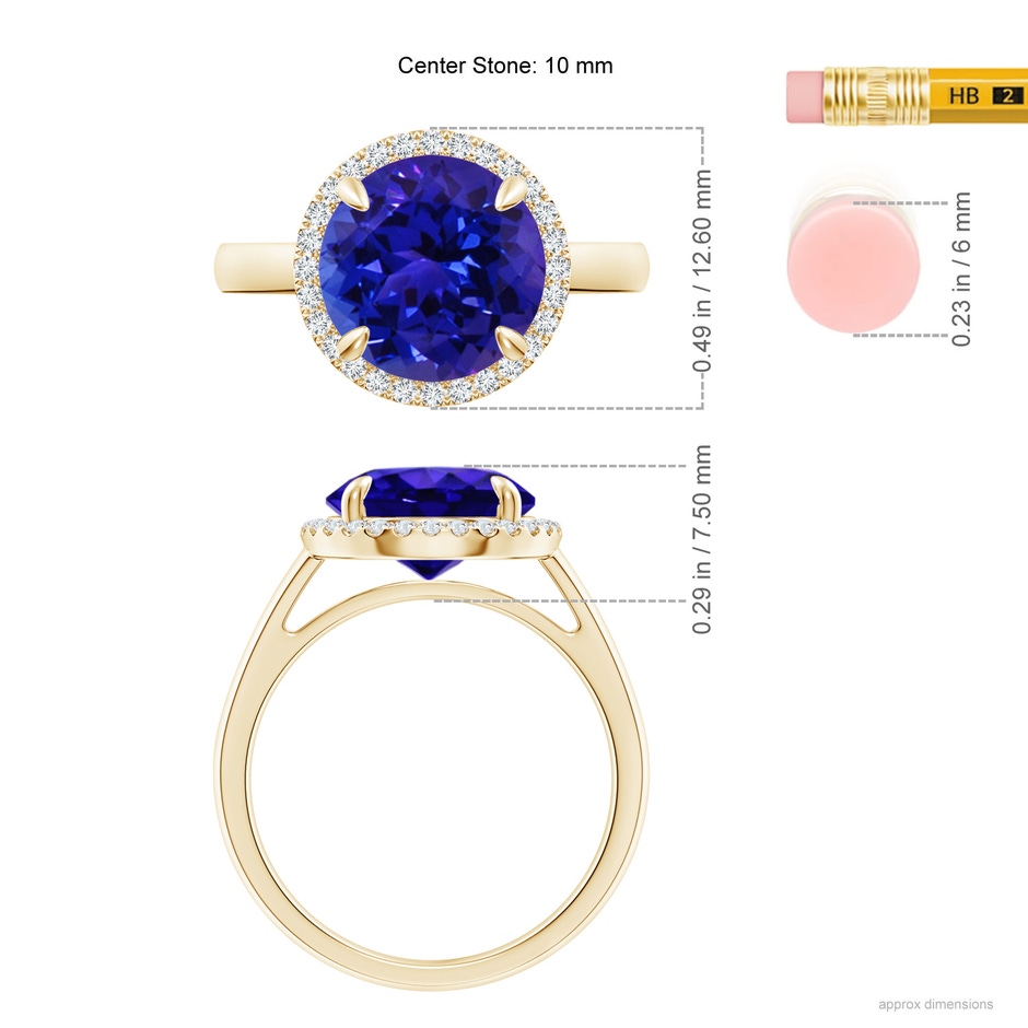 10mm AAAA Round Tanzanite Cathedral Ring with Diamond Halo in Yellow Gold ruler