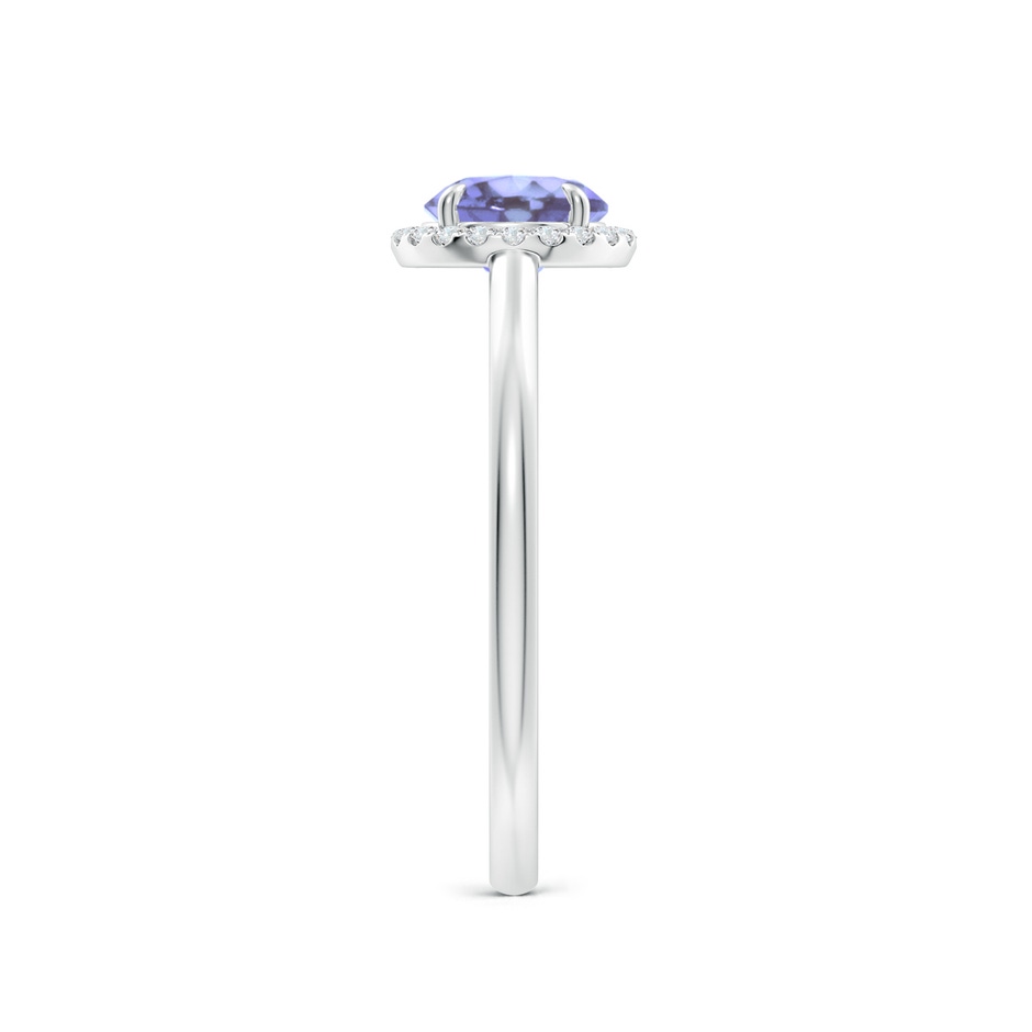 6mm A Round Tanzanite Cathedral Ring with Diamond Halo in P950 Platinum side-2