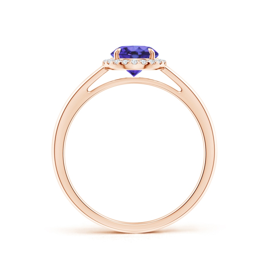 6mm AA Round Tanzanite Cathedral Ring with Diamond Halo in Rose Gold side-1